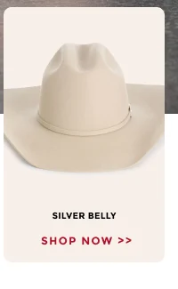 Silverbelly | Shop Now