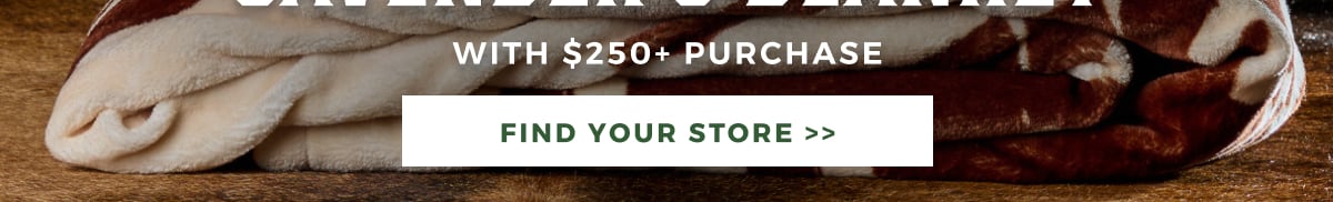 LAST CHANCE TO GET A FREE BLANKET WITH A $250+ IN STORE ONLY PURCHASE