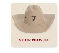 7 HATS