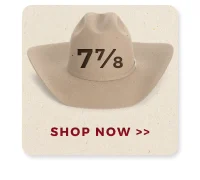 7 7/8 HATS