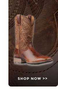 SHOP NOW >>