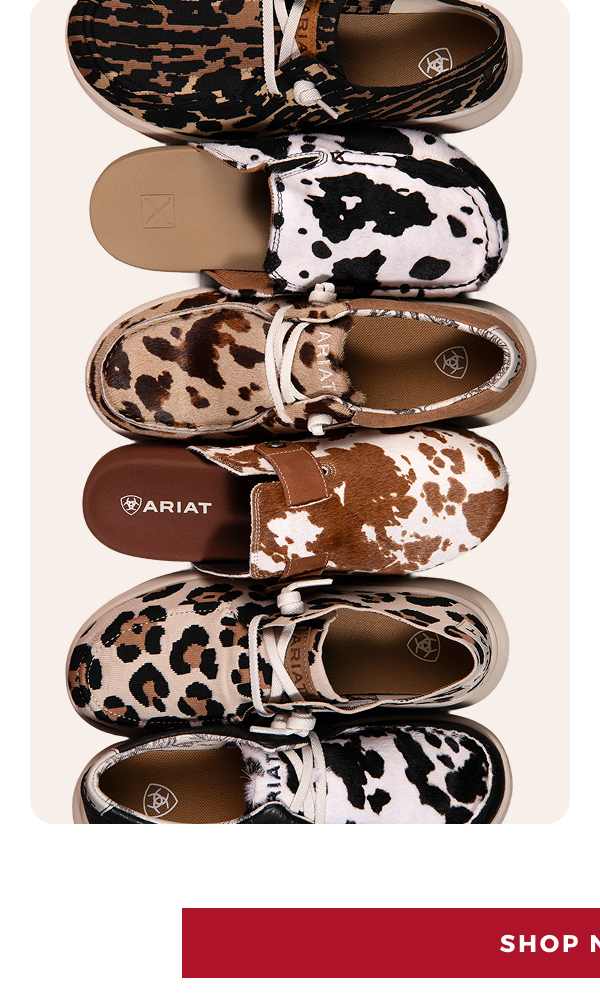 SHOP NOW >>