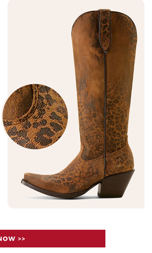SHOP NOW >>