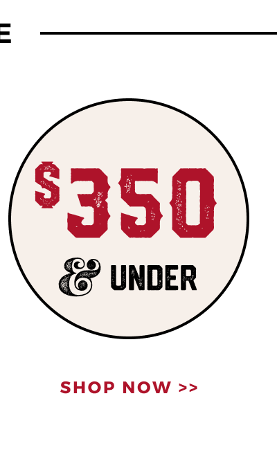 SHOP $300 & UNDER >>