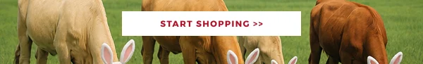 START SHOPPING >>