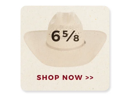 SHOP NOW >>