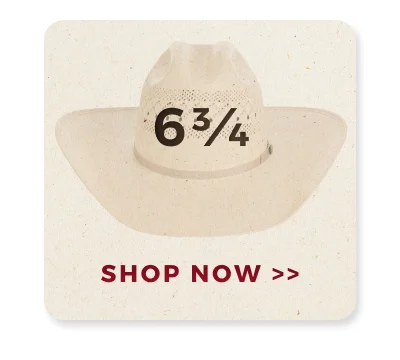 SHOP NOW >>