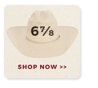 SHOP NOW >>