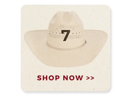 SHOP NOW >>
