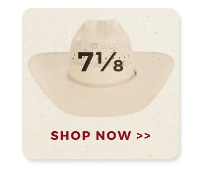 SHOP NOW >>