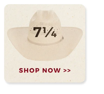 SHOP NOW >>