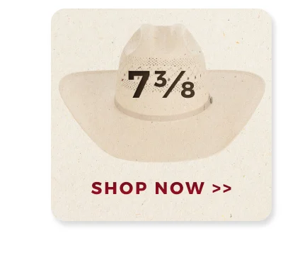 SHOP NOW >>