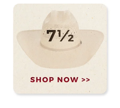 SHOP NOW >>