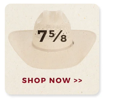 SHOP NOW >>