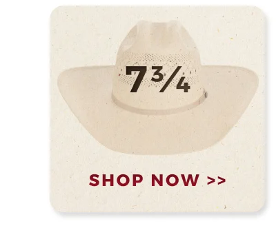 SHOP NOW >>