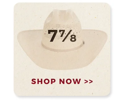 SHOP NOW >>