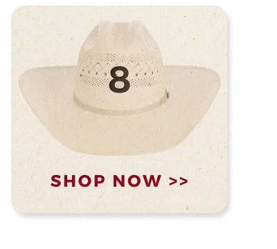 SHOP NOW >>