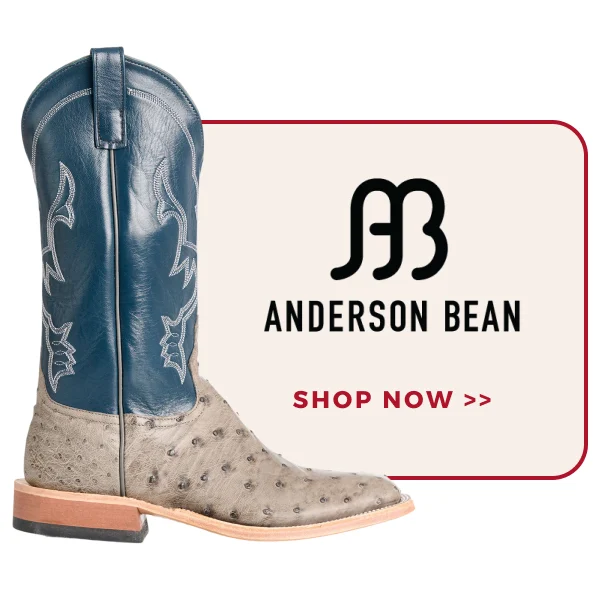 ANDERSON BEAN | SHOP NOW >>