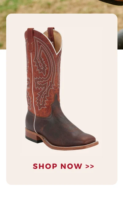 SHOP NOW >>