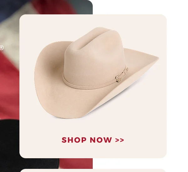 TEXTHERE