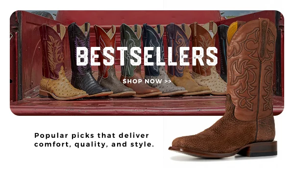 BOOT BESTSELLERS >>