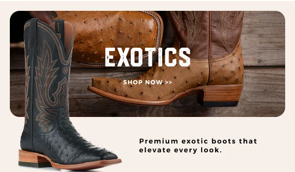 EXOTICS >>