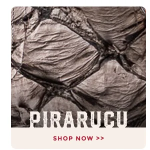 PIRARUCU