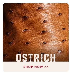 OSTRICH