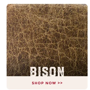 BISON