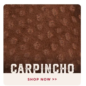 CARPINCHO