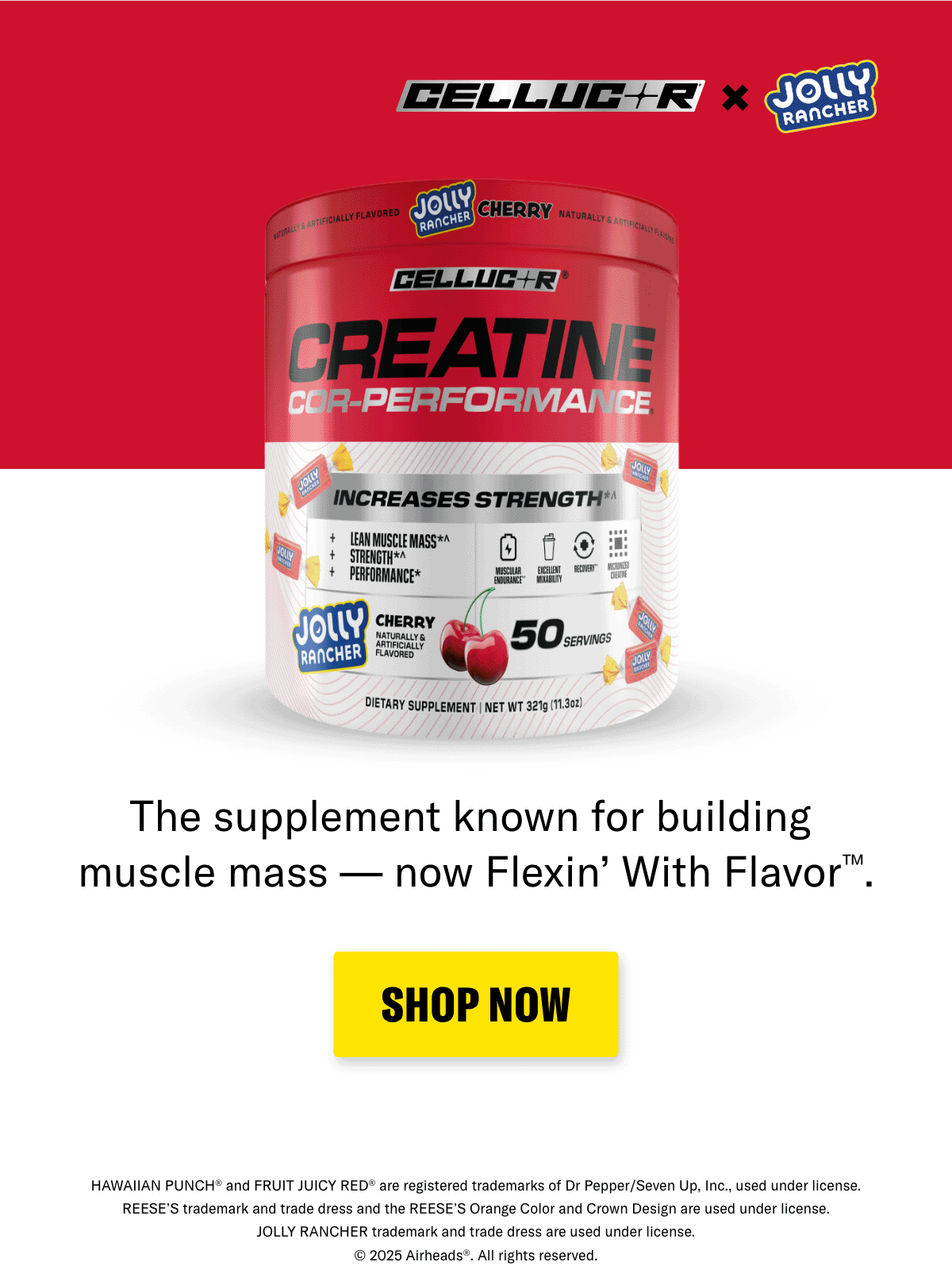 SHOP NOW