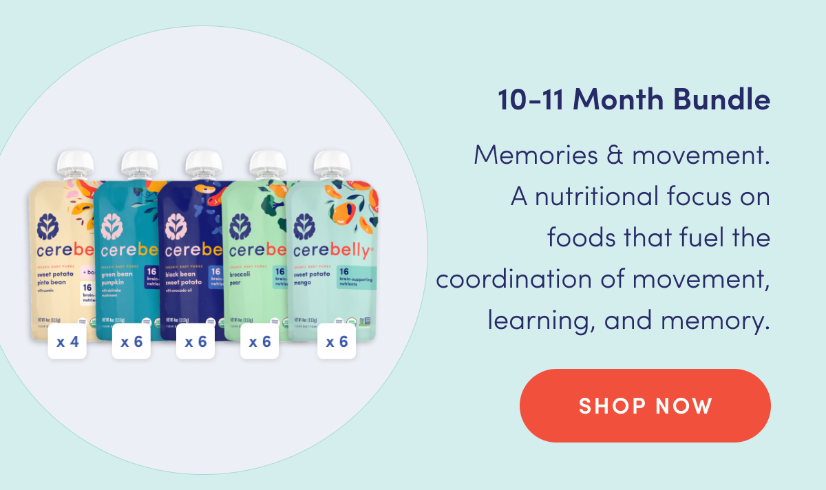 10-11 Month Bundle | Memories & movement. A nutritional focus on foods that fuel the coordination of movement, learning, and memory. | SHOP NOW