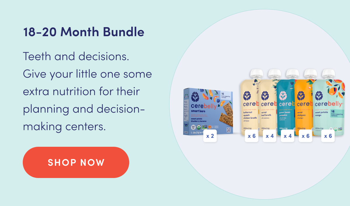 18-20 Month Bundle | Teeth and decisions. Give your little one some extra nutrition for their planning and decision-making centers. | SHOP NOW