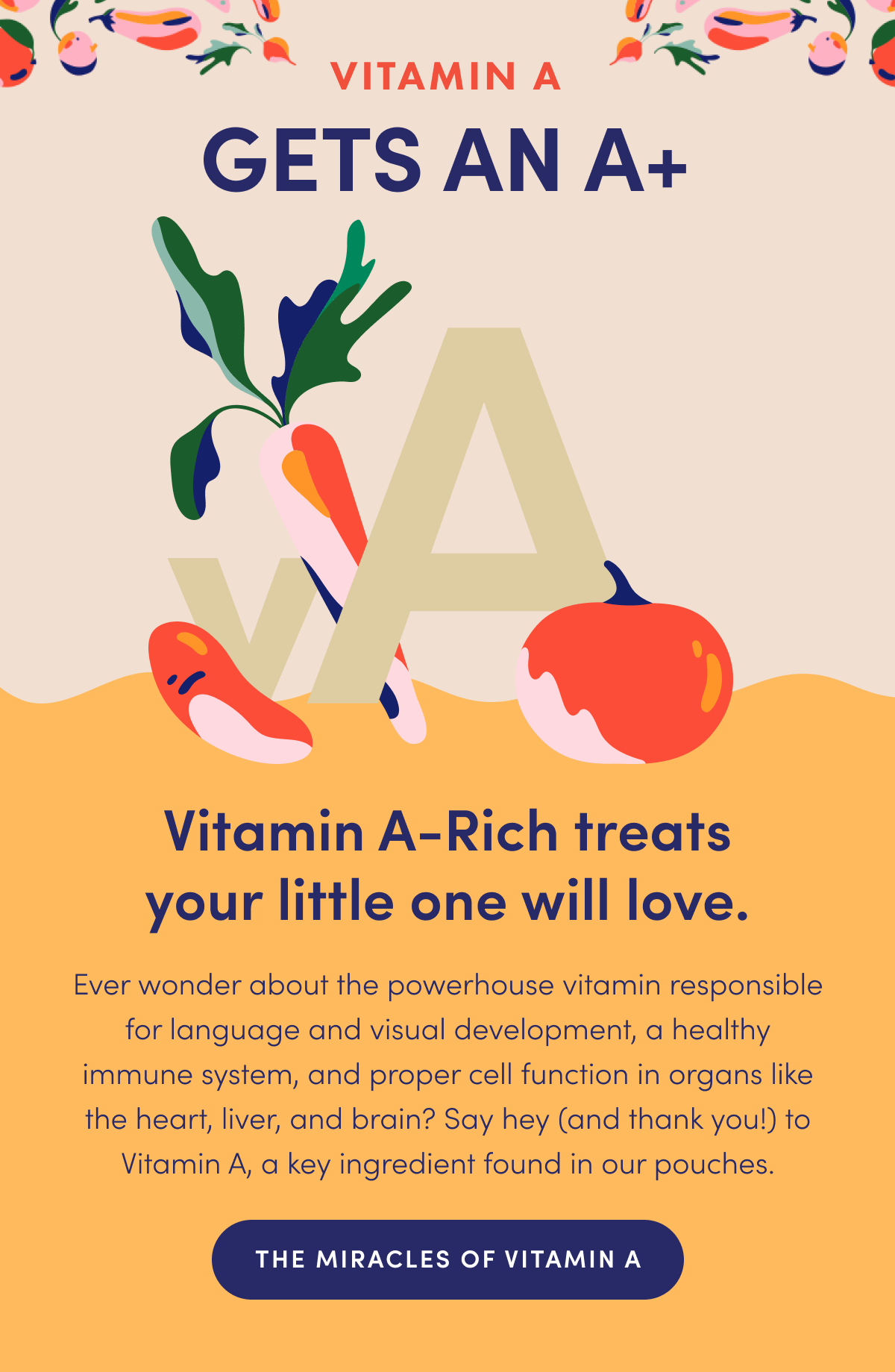 Vitamin A Gets An A+ | Vitamin A-Rich treats your little on will love. | Ever wonder about the powerhouse vitamin responsible for language and visual development, a healthy immune system, and proper cell function in organs like the heart, liver, and brain? Say hey (and thank you!) to Vitamin A, a key ingredient found in our pouches. | THE MIRACLES OF VITAMIN A