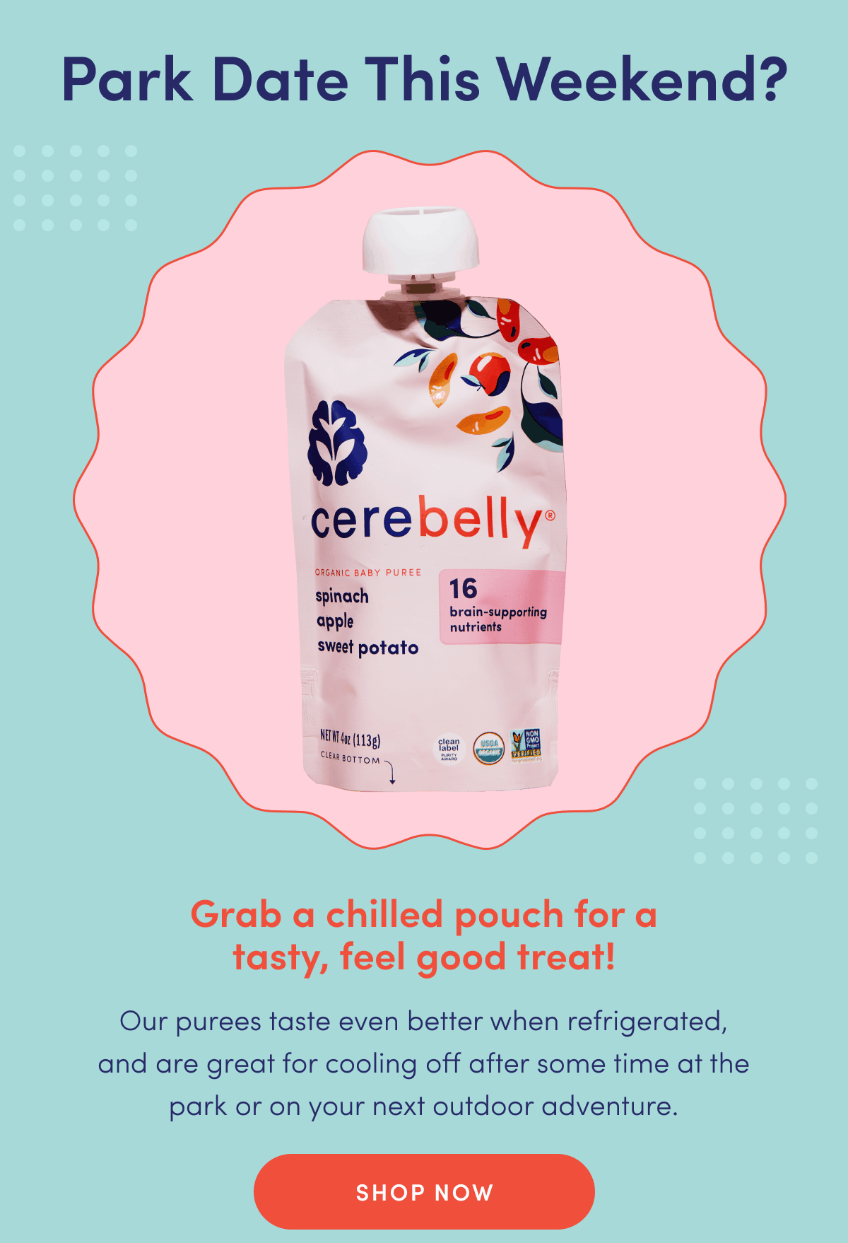 Park Date This Weekend? | Grab a chilled pouch for a tasty, feel good treat! | Our purees taste even better when refrigerated, and are great for cooling off after some time at the park or on your next outdoor adventure. | SHOP NOW