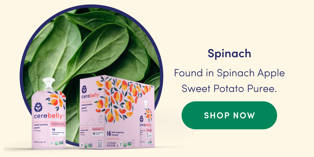Spinach | Found in Spinach Apple Sweet Potato Puree. | SHOP NOW