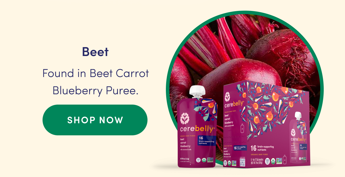 Beet | Found in Beet Carrot Blueberry Puree. | SHOP NOW