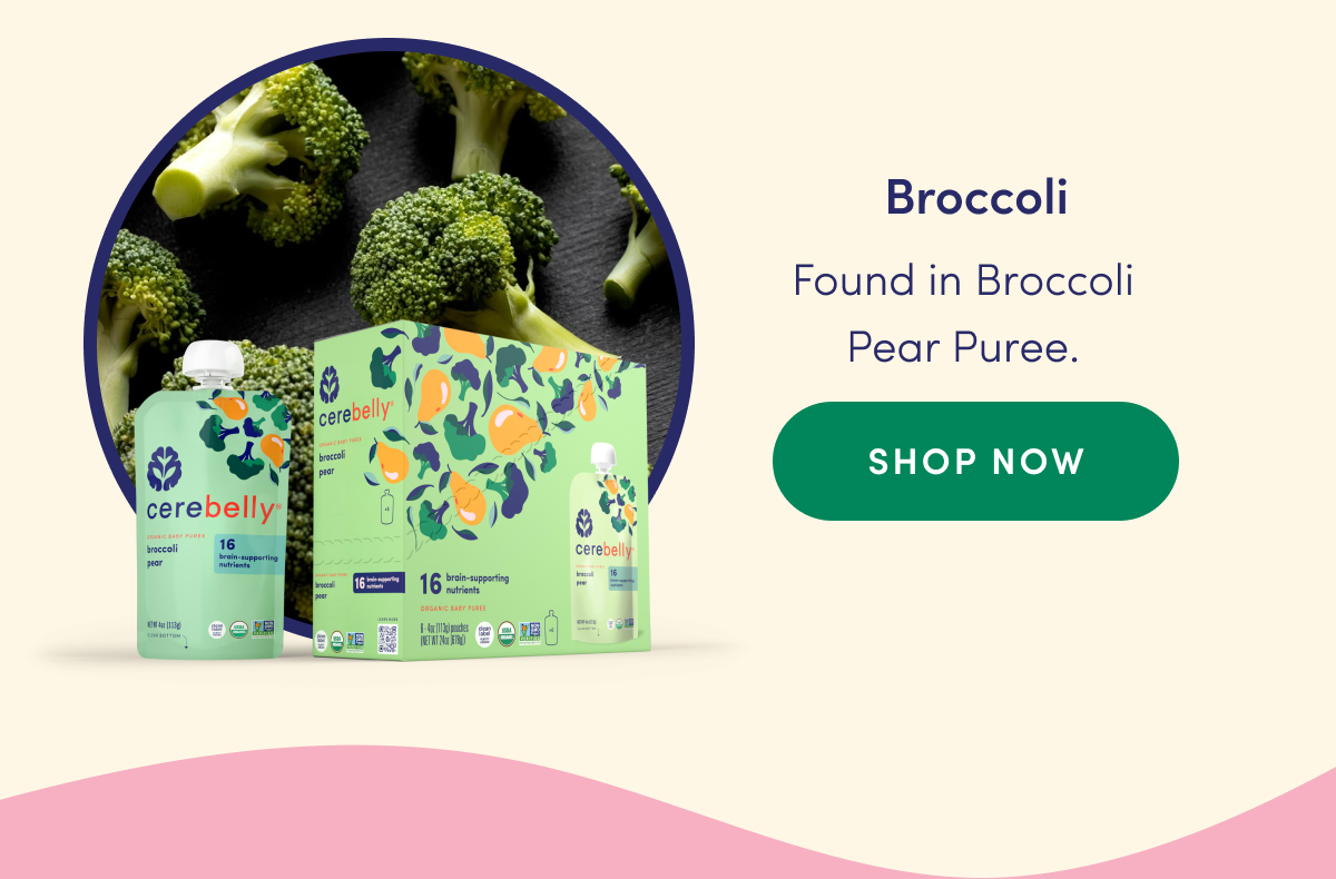 Broccoli | Found in Broccoli Pear Puree. | SHOP NOW