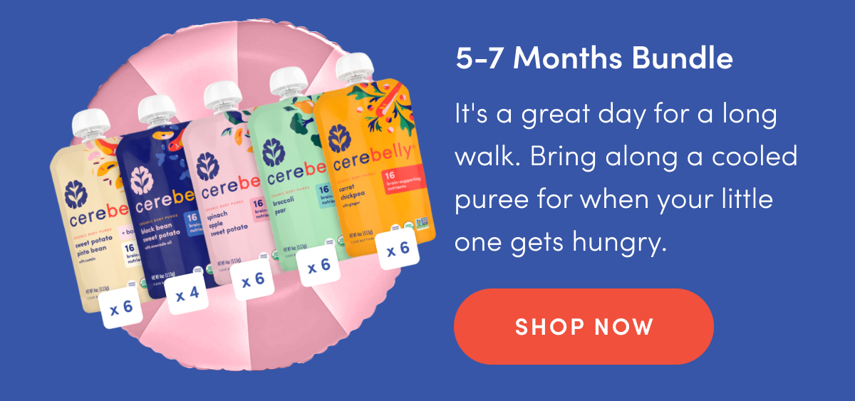 5-7 Months Bundle | It's a great day for a long walk. Bring along a cooled puree for when your little one gets hungry. | SHOP NOW