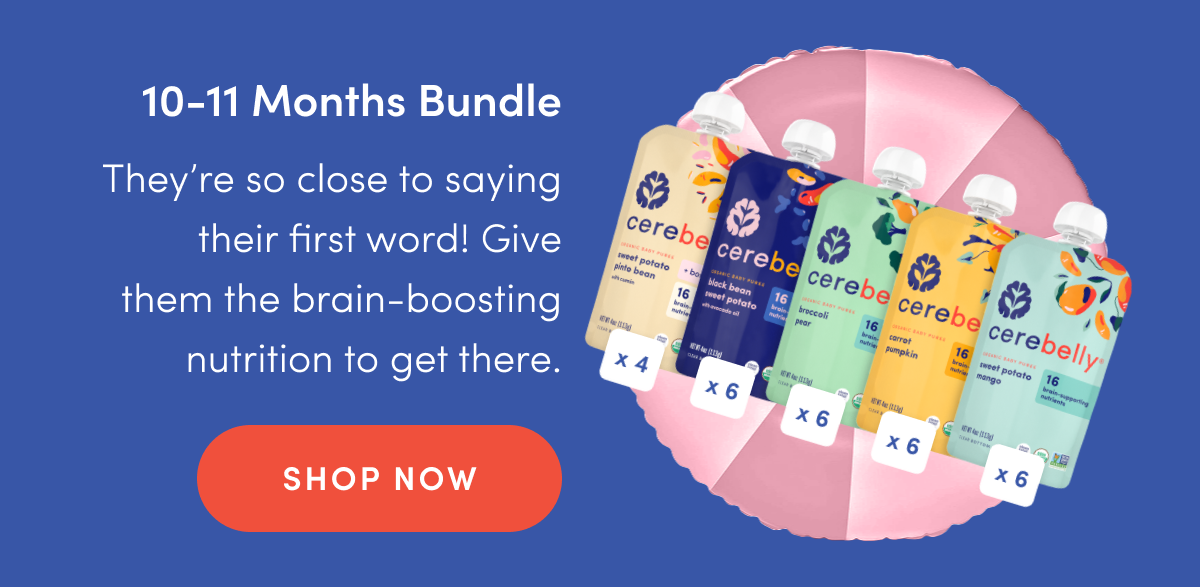 10-11 Months Bundle | They're so close to saying their first word! Give them the brain-boosting nutrition to get there. | SHOP NOW