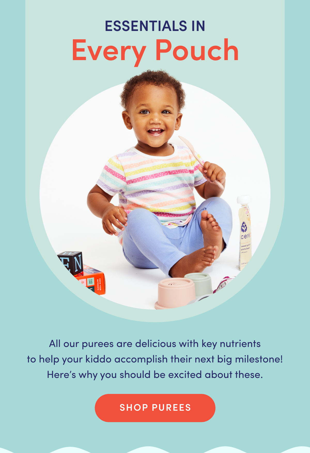 Essentials in Every Pouch | All our purees are delicious with key nutrients to help your kiddo accomplish their next big milestone! Here's why you should be excited about these. | SHOP PUREES