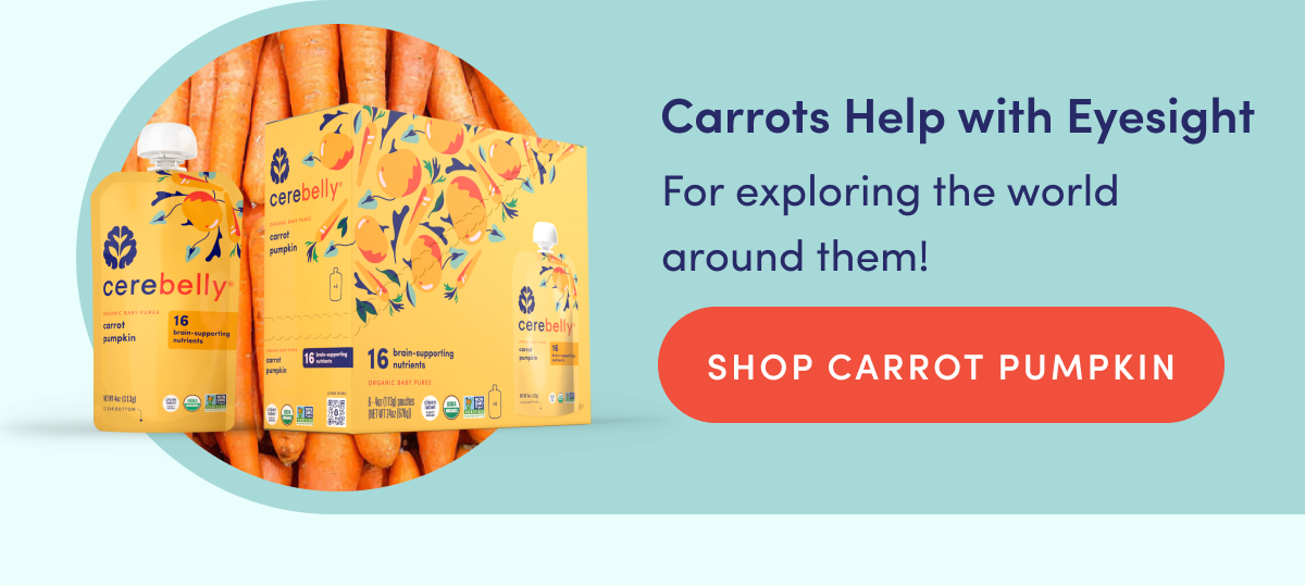 Carrots Help with Eyesight | For exploring the world around them! | SHOP CARROT PUMPKIN
