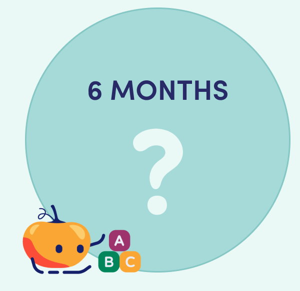 6 MONTHS?