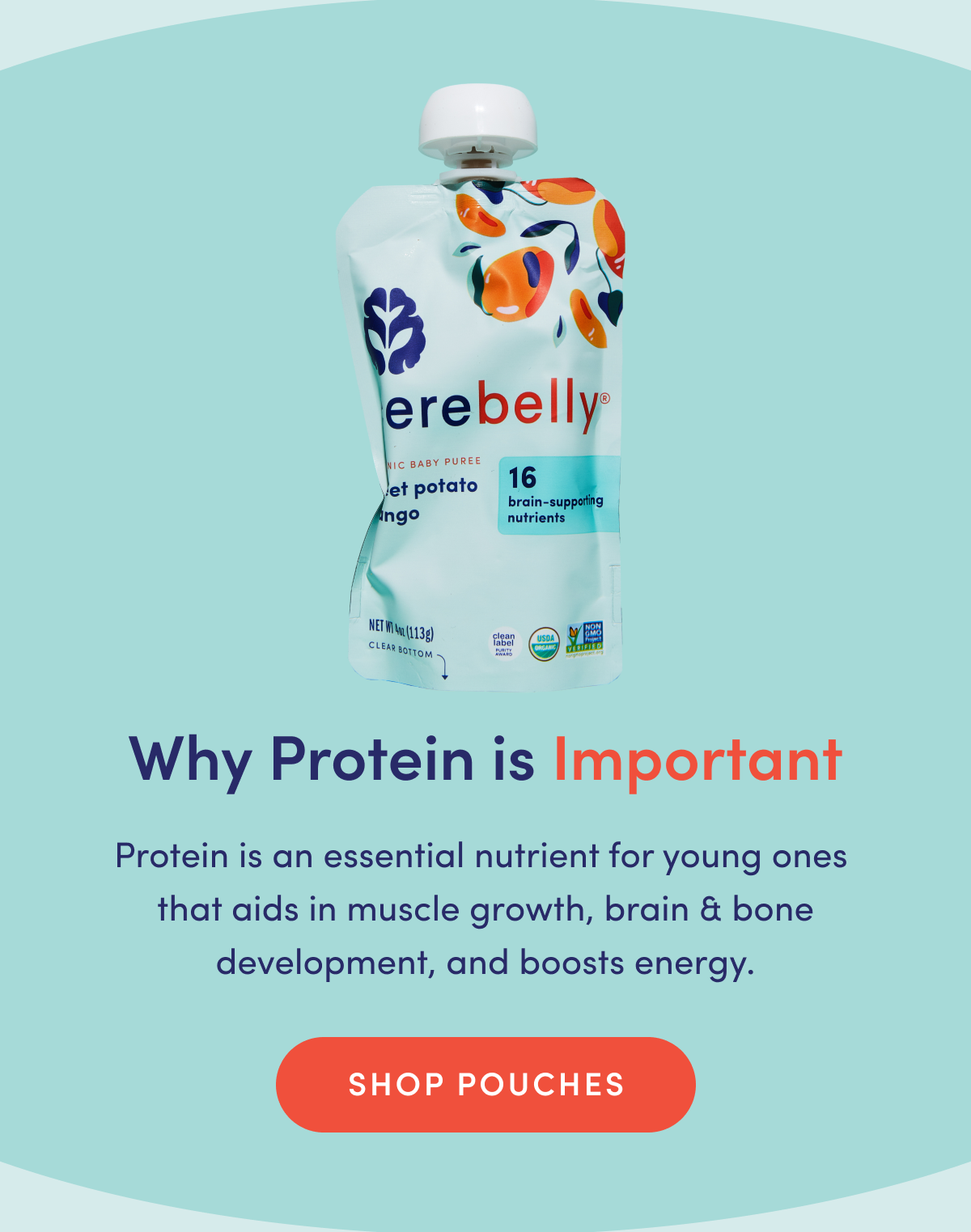 Why Protein is Important | Protein is an essential nutrient for young ones that aids in muscle growth, brain & bone development, and boosts energy. | SHOP POUCHES