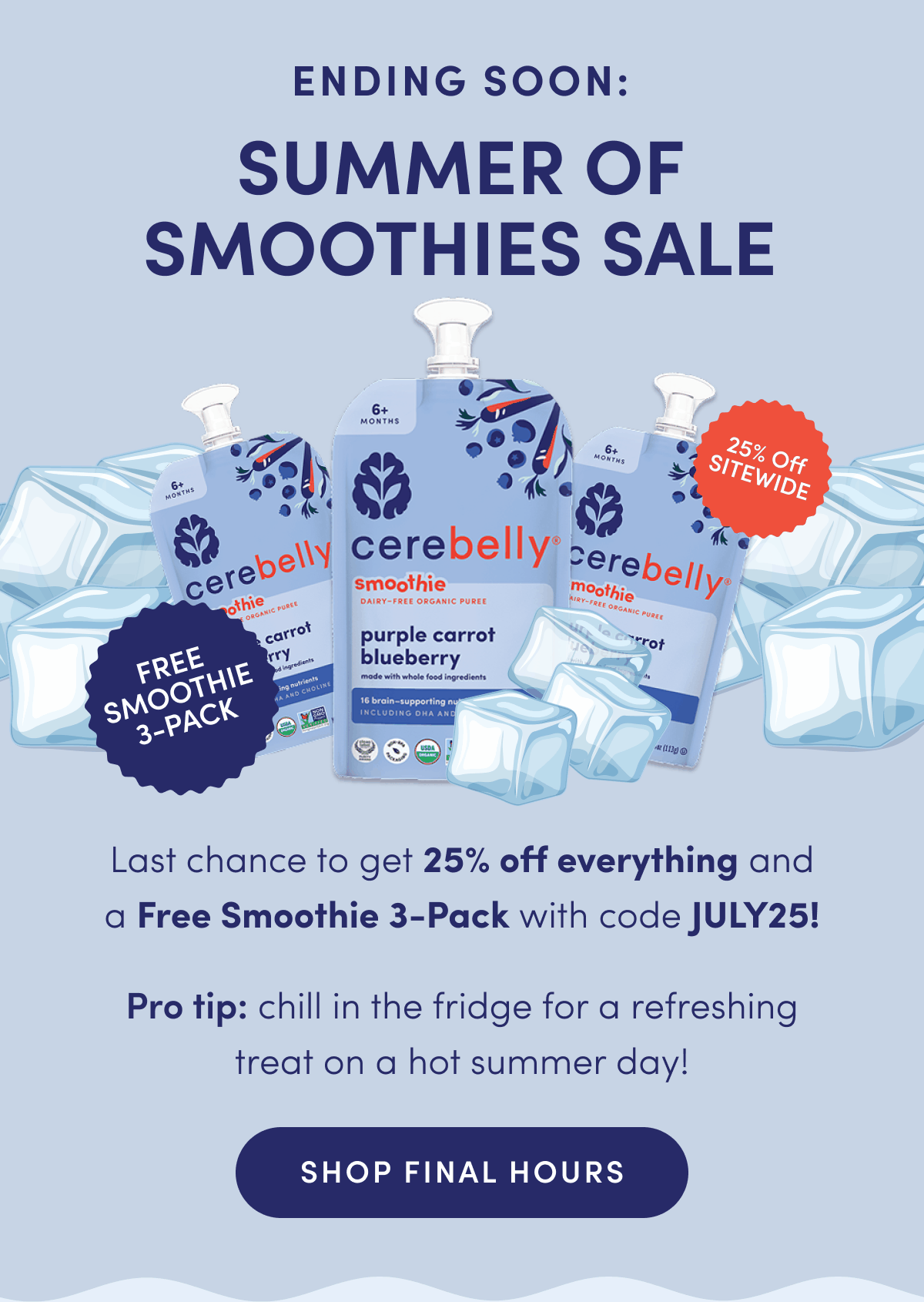 Ending Soon: Summer of Smoothies Sale | 25% Off Sitewide Plus Free Smoothie 3-Pack | Last chance to get 25% off everything and a Free Smoothie 3-Pack with code JULY25! Pro tip: chill in the fridge for a refreshing treat on a hot summer day! | SHOP FINAL HOURS