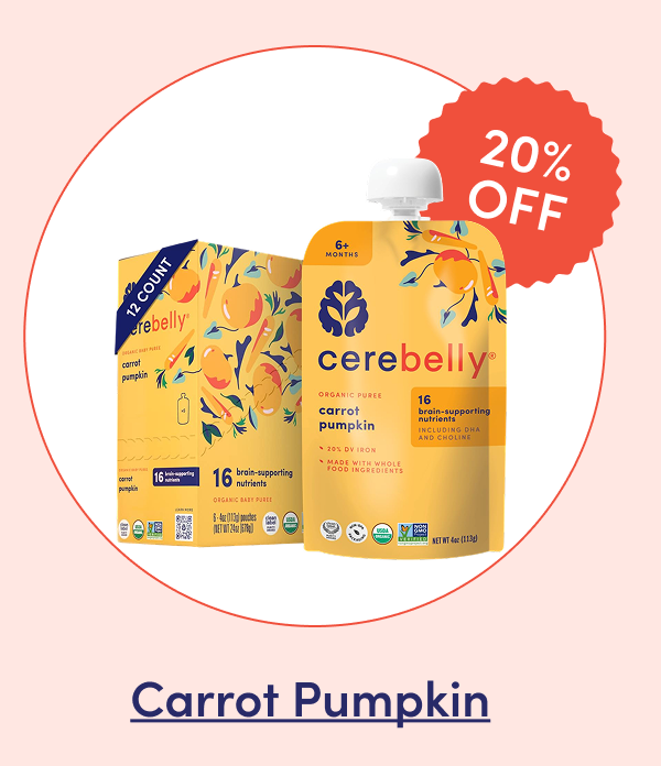 20% Off Carrot Pumpkin 12 Count