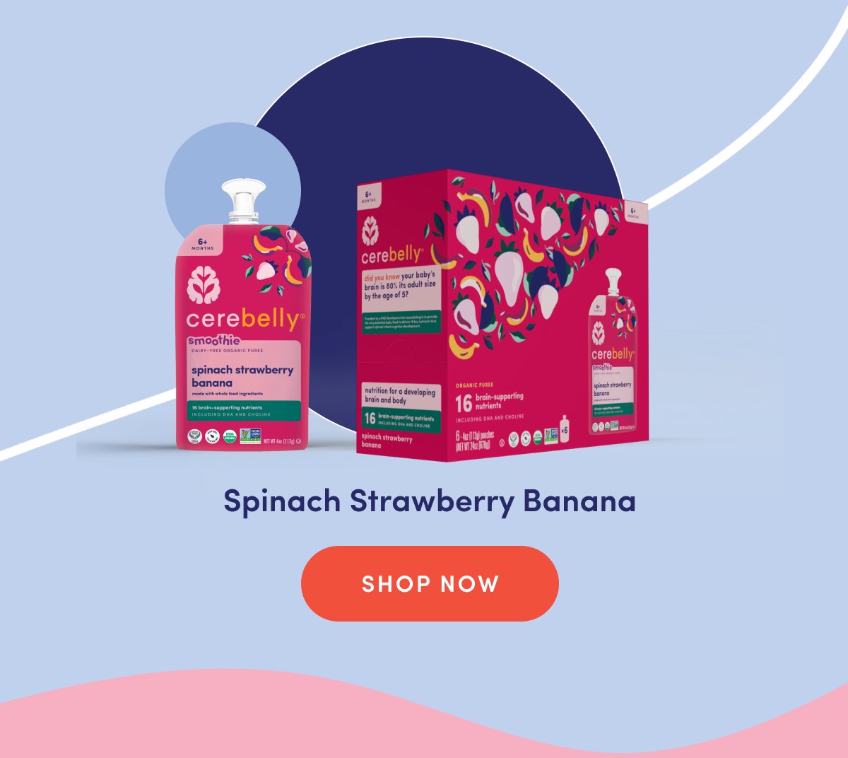 Spinach Strawberry Banana