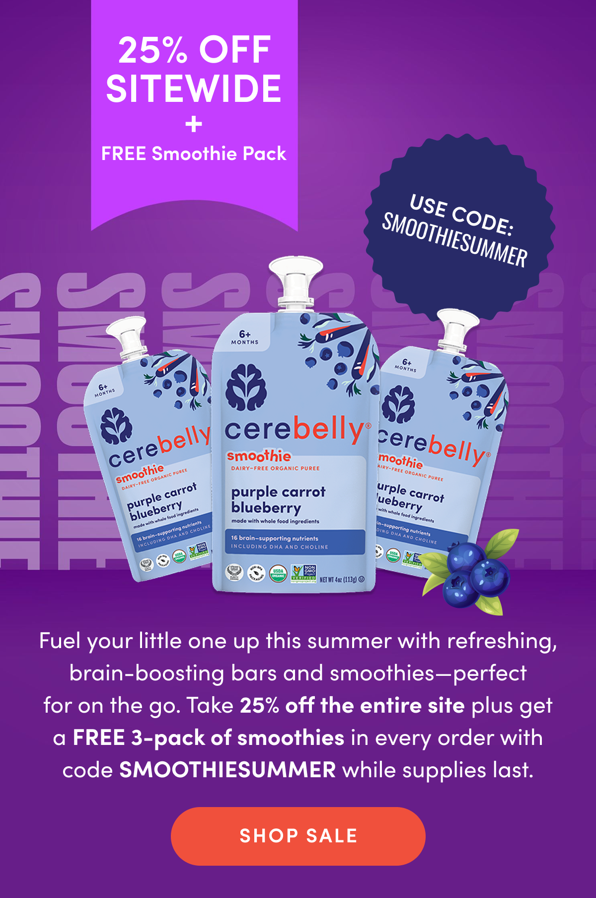 Summer of Smoothies Sale - Use code SMOOTHIESUMMER