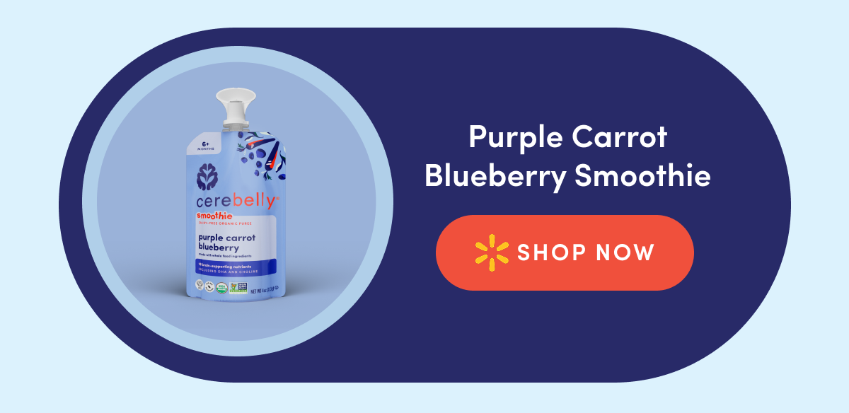 Purple Carrot Blueberry Smoothie | SHOP NOW