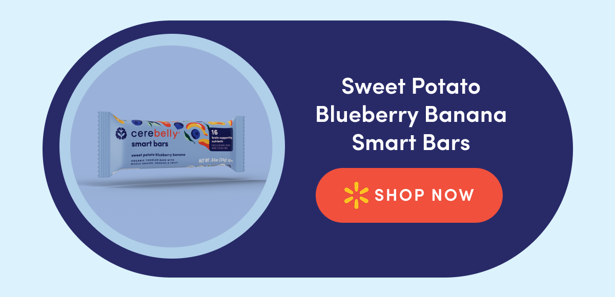 Sweet Potato Blueberry Banana Smart Bars | SHOP NOW